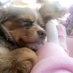 Minta Johnson - @insta_minta - Instagram