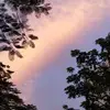 minwen lim - @minwenlim - TikTok