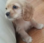 Miok Kang - Facebook
