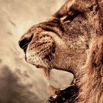 Danial mirhashmi - @mirhashmi_danial - Instagram