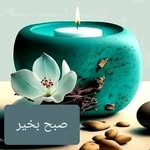 Mir Javed - @mir.javed.505 - Instagram
