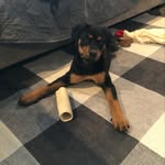 Miracle Miller - @the_miracle_miller - Instagram