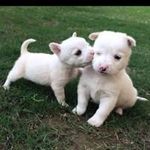 미랑 윤 - @mirang.yoon - Instagram