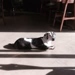 Miran Yoon - @miran.yoon.509 - Instagram
