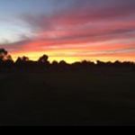 Allison Miranda - @allison.miranda.3538 - Instagram