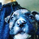 miranda linn allred - @allredmirandalinn - Instagram