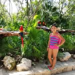 MirandaAndrade - @mirandaandrade62 - Instagram