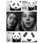 🐼 Miranda & Aranda 🐼 - @miranda_aranda_panda - Instagram