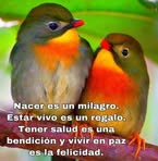 Miranda Aranda - Facebook