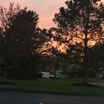 Miranda Ard - @mirandasphotography2 - Instagram