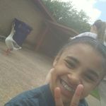 @miranda.dadgum.ayers.yallll - Instagram