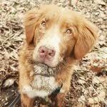 Miranda Baer - @baerfamilyadventures - Instagram