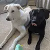 mirandabanks585 - @mirandabanks585 - TikTok