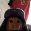 Miranda Barber - @mirandabarber08 - TikTok