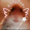 Miranda🐹Barlow - @mirandabestay - TikTok
