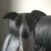 mirandabarlow - @mirandabarlow6 - TikTok