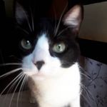 Miranda barone - @mirandacat01 - Instagram