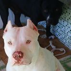Baruck Miranda - Facebook