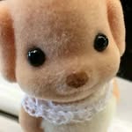 miranda - @miranda.bean14 - Instagram