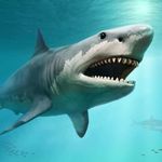 Miranda Bean - @sharkaddict332 - Instagram