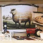 Miranda Beatty - @overyondertherefarm - Instagram