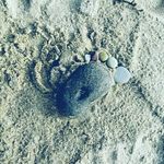 Miranda - @miranda_blumen - Instagram