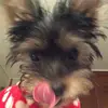 Miranda Blumberg - @mirandablumberg0 - TikTok