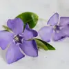 mirandaboone02 - @mirandaboone02 - TikTok