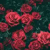 mirandaboone1970 - @mirandaboone1970 - TikTok