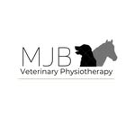 Miranda Bower - @mjb_vetphys - Instagram