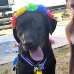 Miranda Britton Cody - @333triplehhh - Instagram
