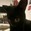 Miranda Ceja - @miranda.ceja5 - TikTok