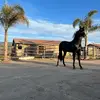 Miranda - @chendomiranda - TikTok
