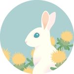 Miranda • Illustrations & Clay - @thesafflowerfield - Instagram