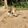 mirandacrowder7 - @mirandacrowder7 - TikTok