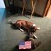 Randi Eubanks - Facebook