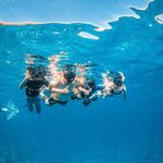 Miranda Howe Fields - @miranda.m.fields - Instagram