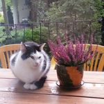 mira - @miranda_from_forrest - Instagram