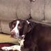 Miranda Fortner - Facebook