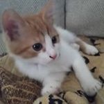 Miranda Fortner - @fortnermiranda - Instagram