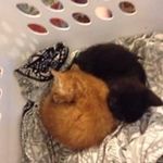 Miranda Goodwin - @mira_goodwin - Instagram