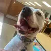 miranda_chaney - @miranda_chaney - TikTok