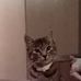 Myranda Holcomb - Facebook