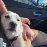 Miranda Howell - @datfutureplumber - Instagram
