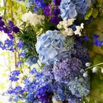 Miranda Fairhurst - @mirandafairhurstflowers - Instagram