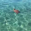 Miranda de Jager - @miranda.de.jager7 - TikTok
