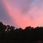 Miranda Jenkins - @mirandajenkins2006 - Instagram