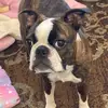 user5615977429886 - @miranda.jenkins08 - TikTok
