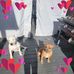 Miranda Johnston - Facebook
