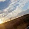 Mirandajoiner4 - @mirandajoiner4 - TikTok
